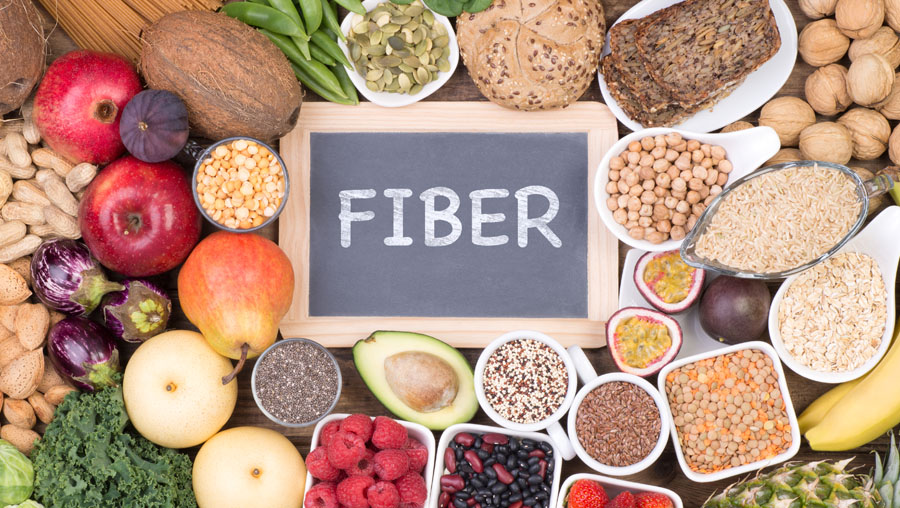 fibers in nutrition