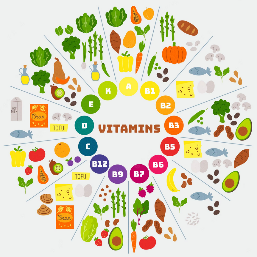 vitamins as organic compunds